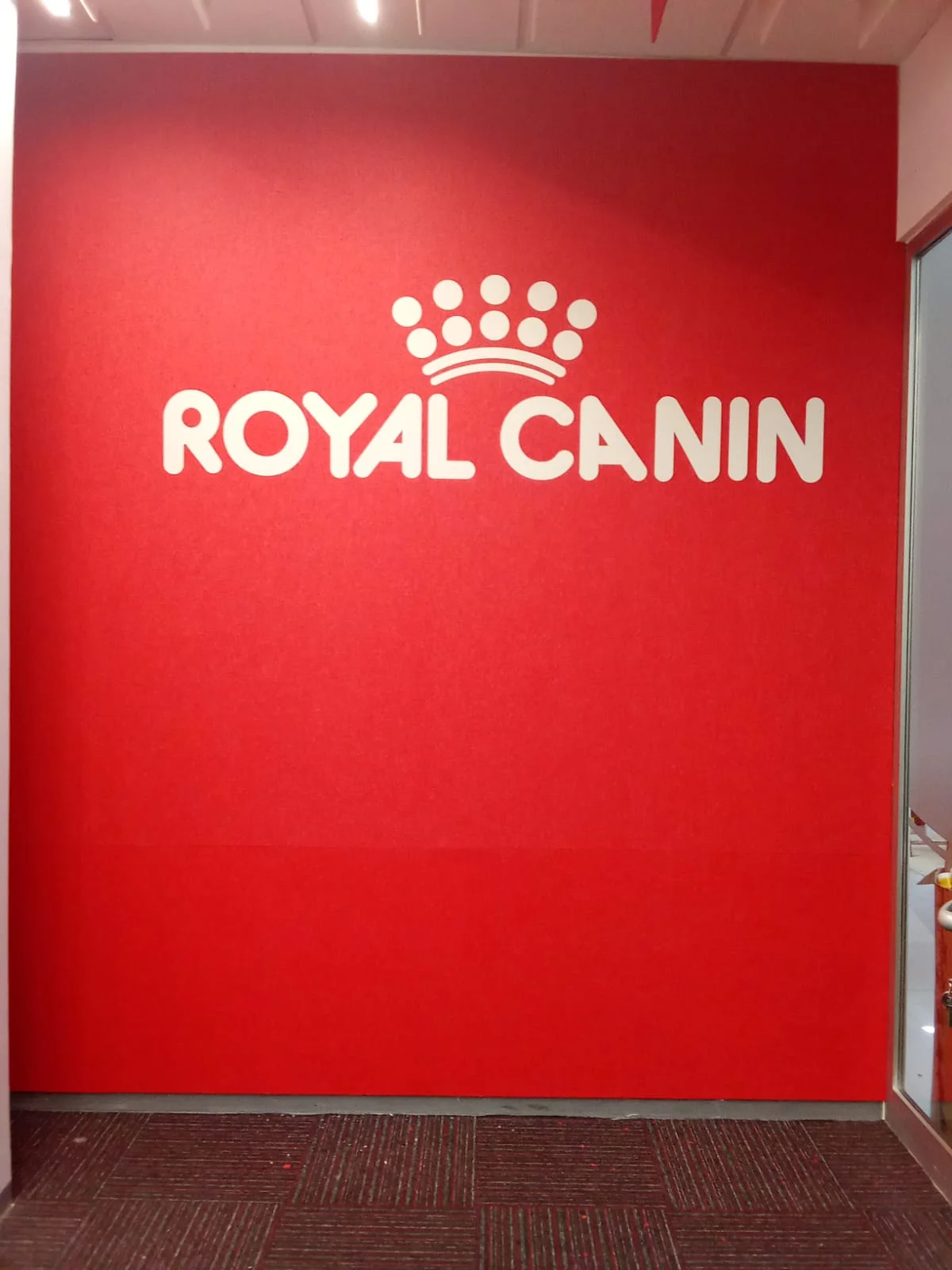 Proyecto acústico Royal Canin