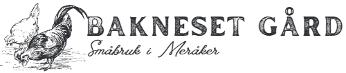 bakneset_logo