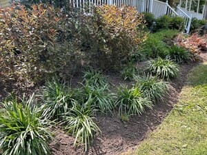 {{ custom_values.service_1 }} in {{custom_values.area_3})