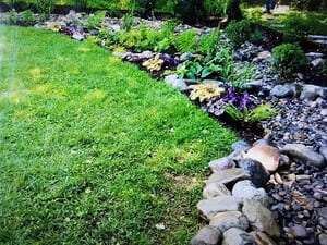 {{ custom_values.service_3 }} in {{custom_values.area_3})