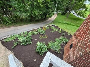 {{ custom_values.service_3 }} in {{custom_values.area_1})