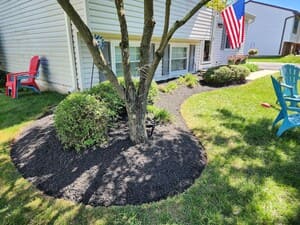 {{ custom_values.service_4 }} in {{custom_values.area_1})