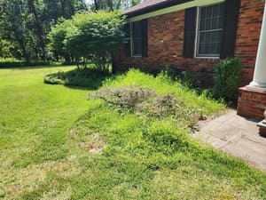 {{ custom_values.service_1 }} in {{custom_values.area_6})