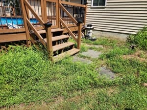 {{ custom_values.service_3 }} in {{custom_values.area_6})