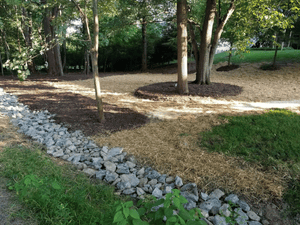 {{ custom_values.service_4 }} in {{custom_values.area_7})