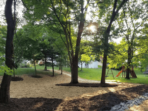 {{ custom_values.service_4 }} in {{custom_values.area_7})