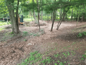 {{ custom_values.service_1 }} in {{custom_values.area_7})