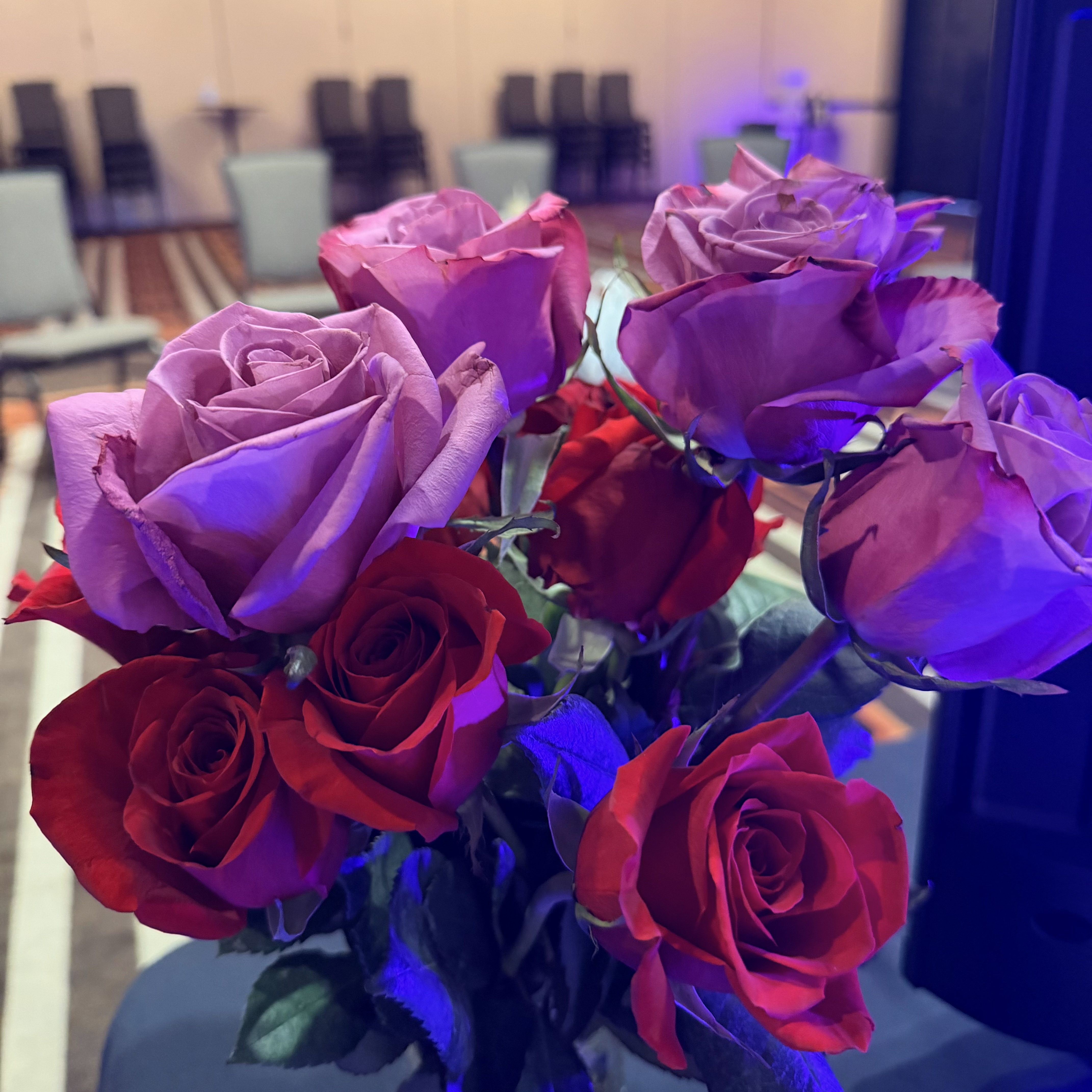Roses in conference room