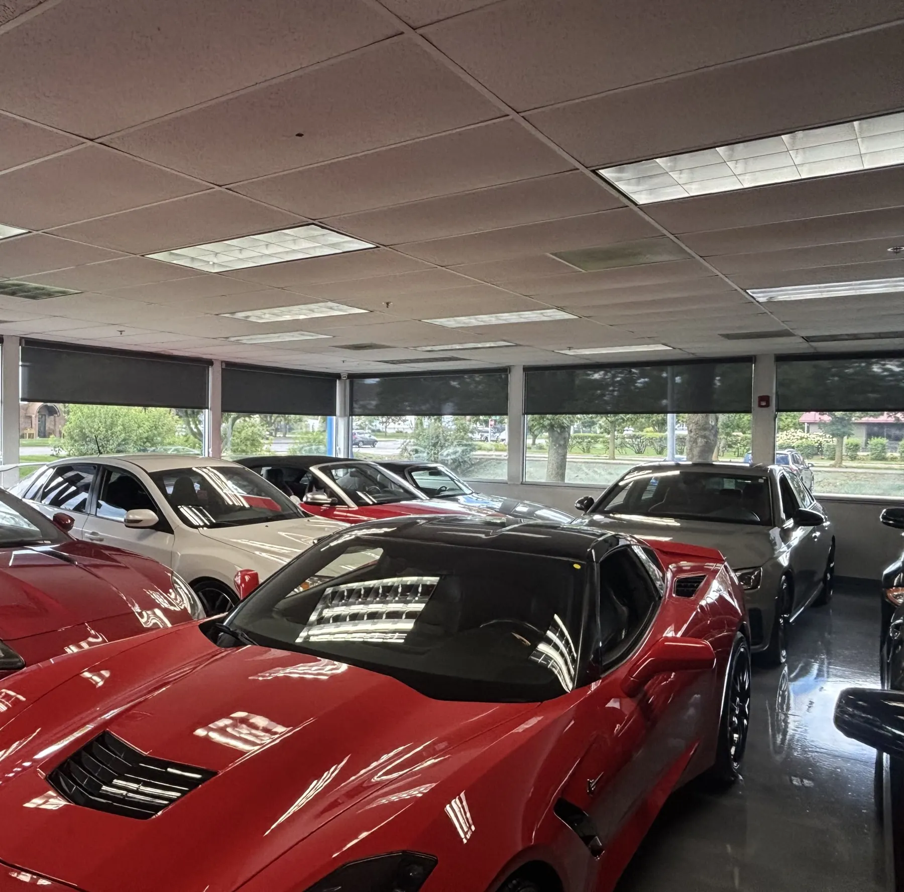 Roller shades along the windows of a car showroom