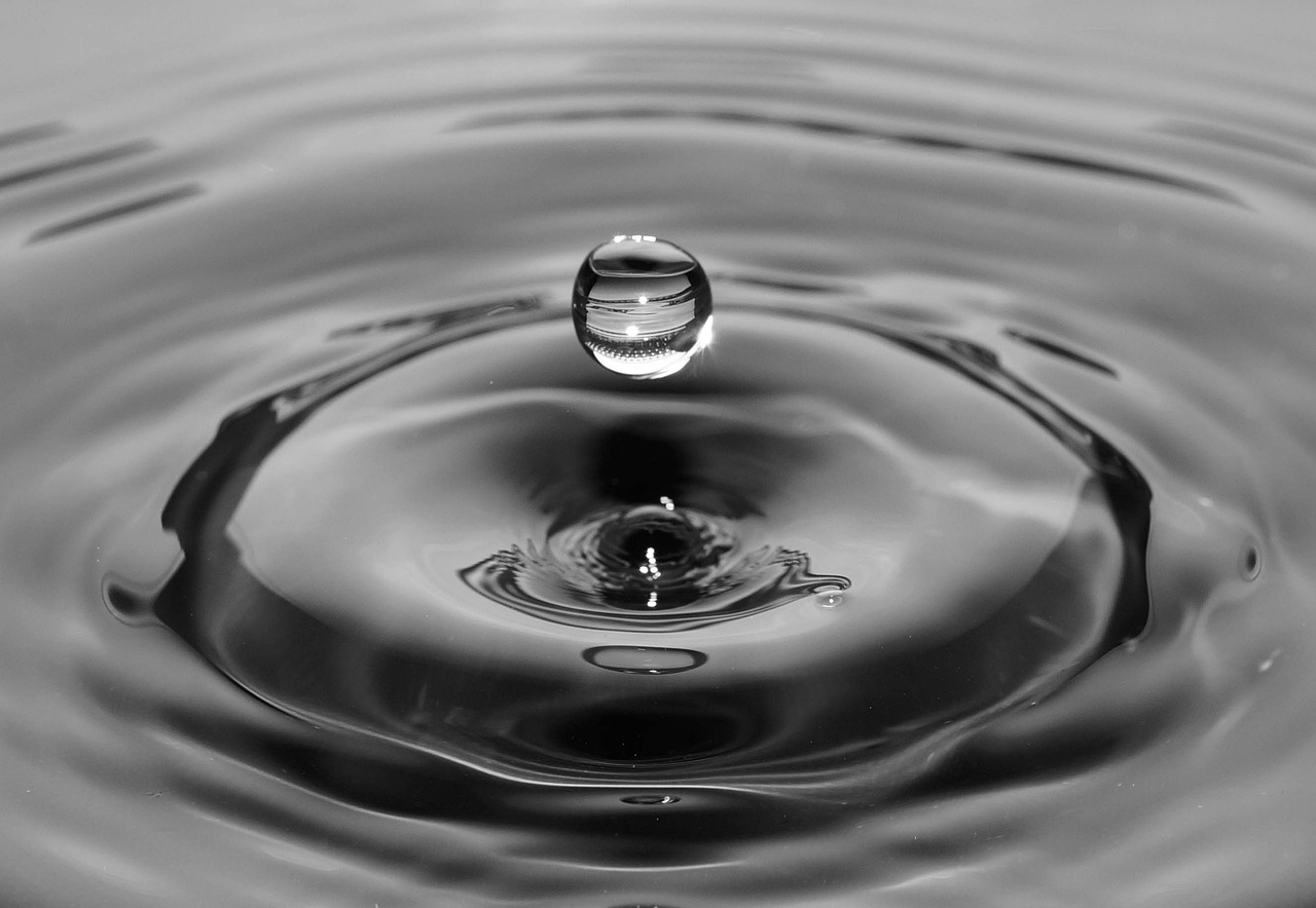 A single water droplet rippling across still water