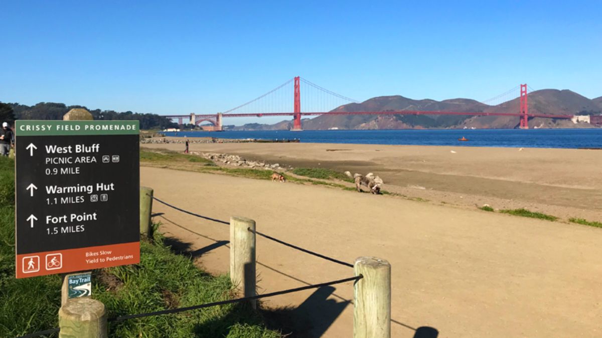 Crissy Field: Tranquility by the Bay