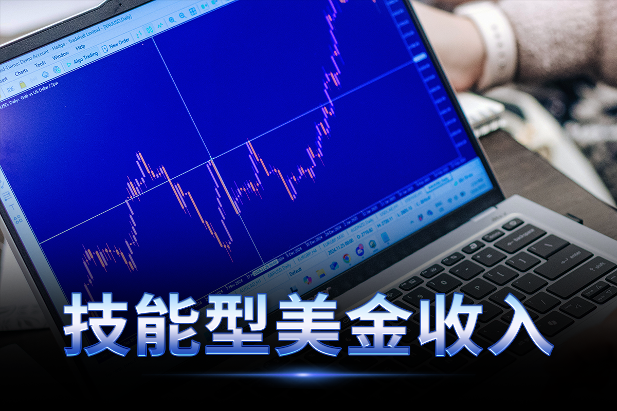 技能型美金收入