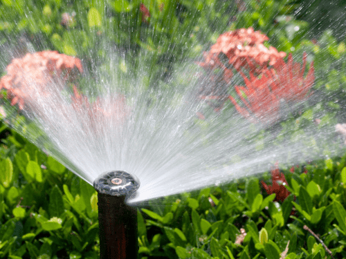 Conroe Irrigation System