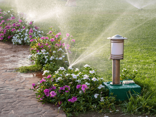  Irrigation System
