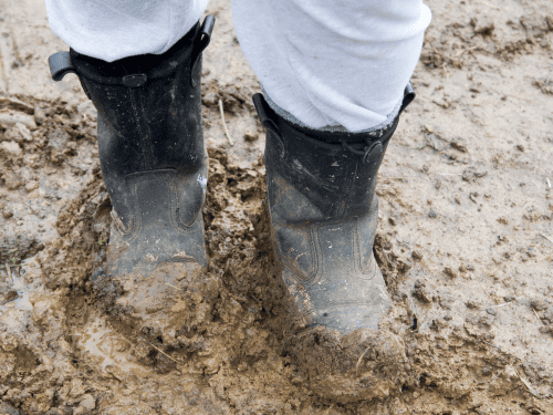 Conroe Drainage System