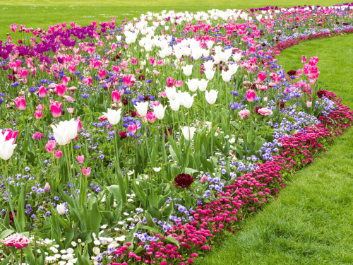  Irrigation System