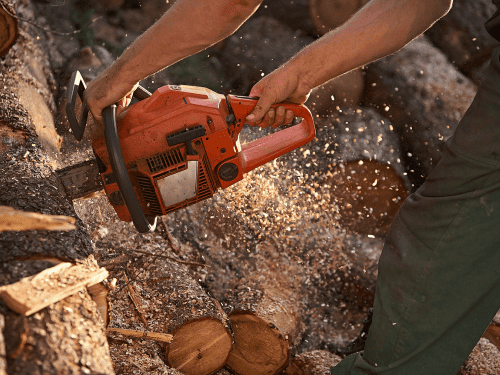 Tomball Tree cutting and Trimming
