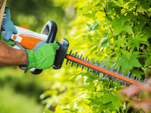 Tree cutting and Trimming in Houston