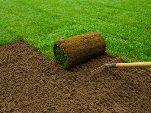 Sod Installation in Houston