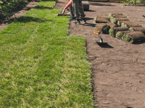  Irrigation System