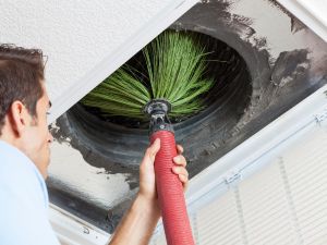 {{ custom_values.service_1 }} in {{custom_values.area_1})