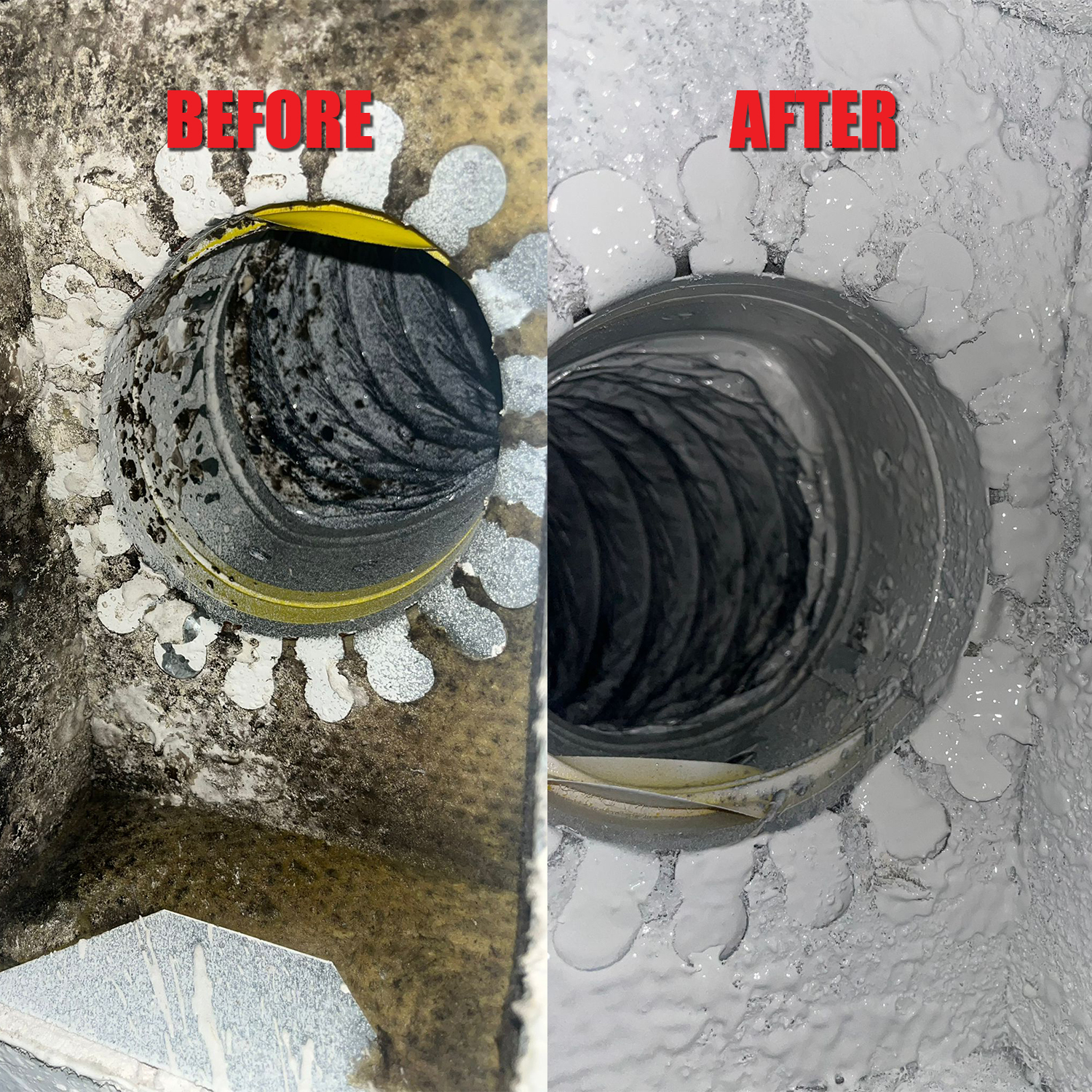 Insulation install in Tampa