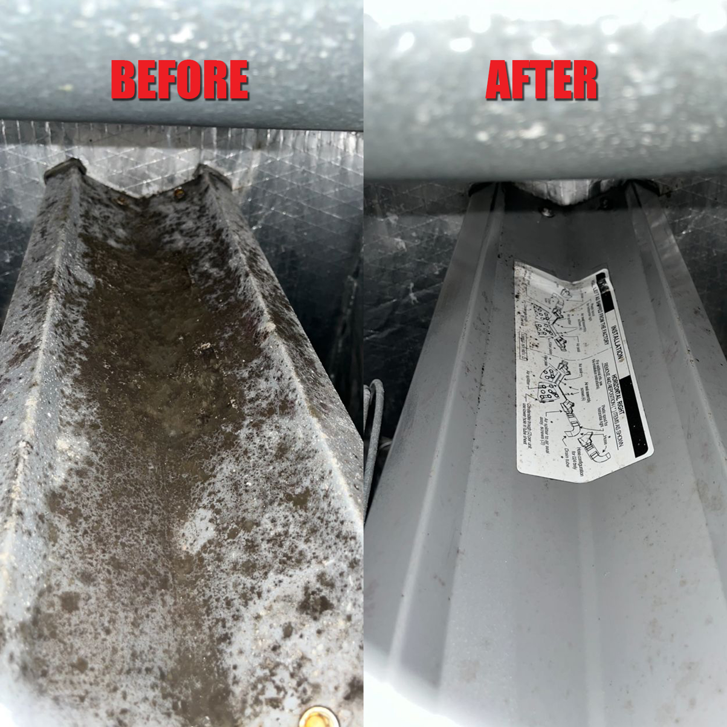 Insulation install in Tampa