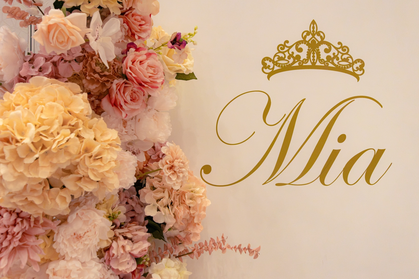 Mia's quinceañera, photograph 6