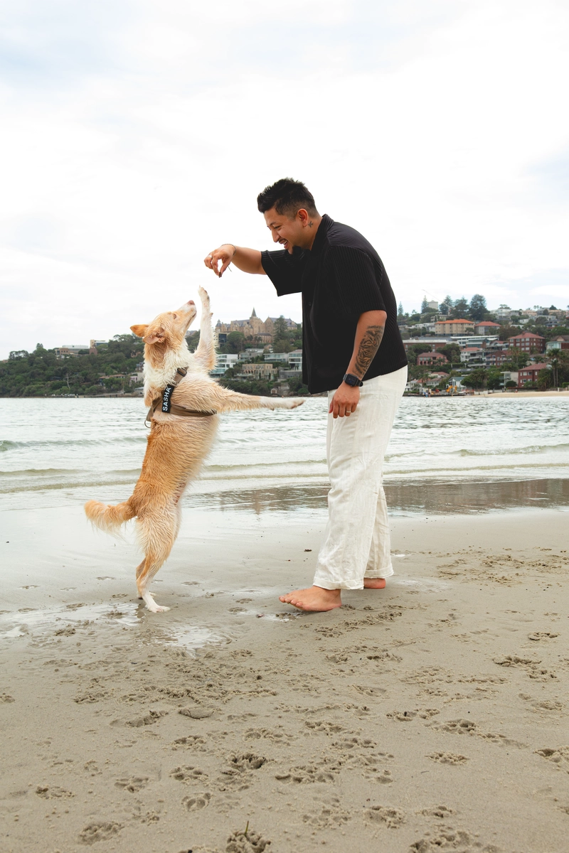 Maternity photography session with Miso in Sydney 9