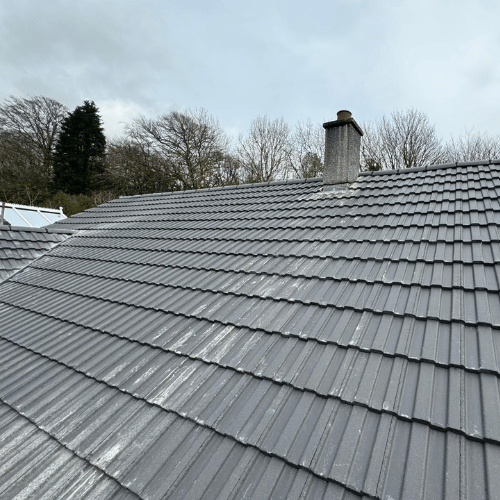 Recent roof project