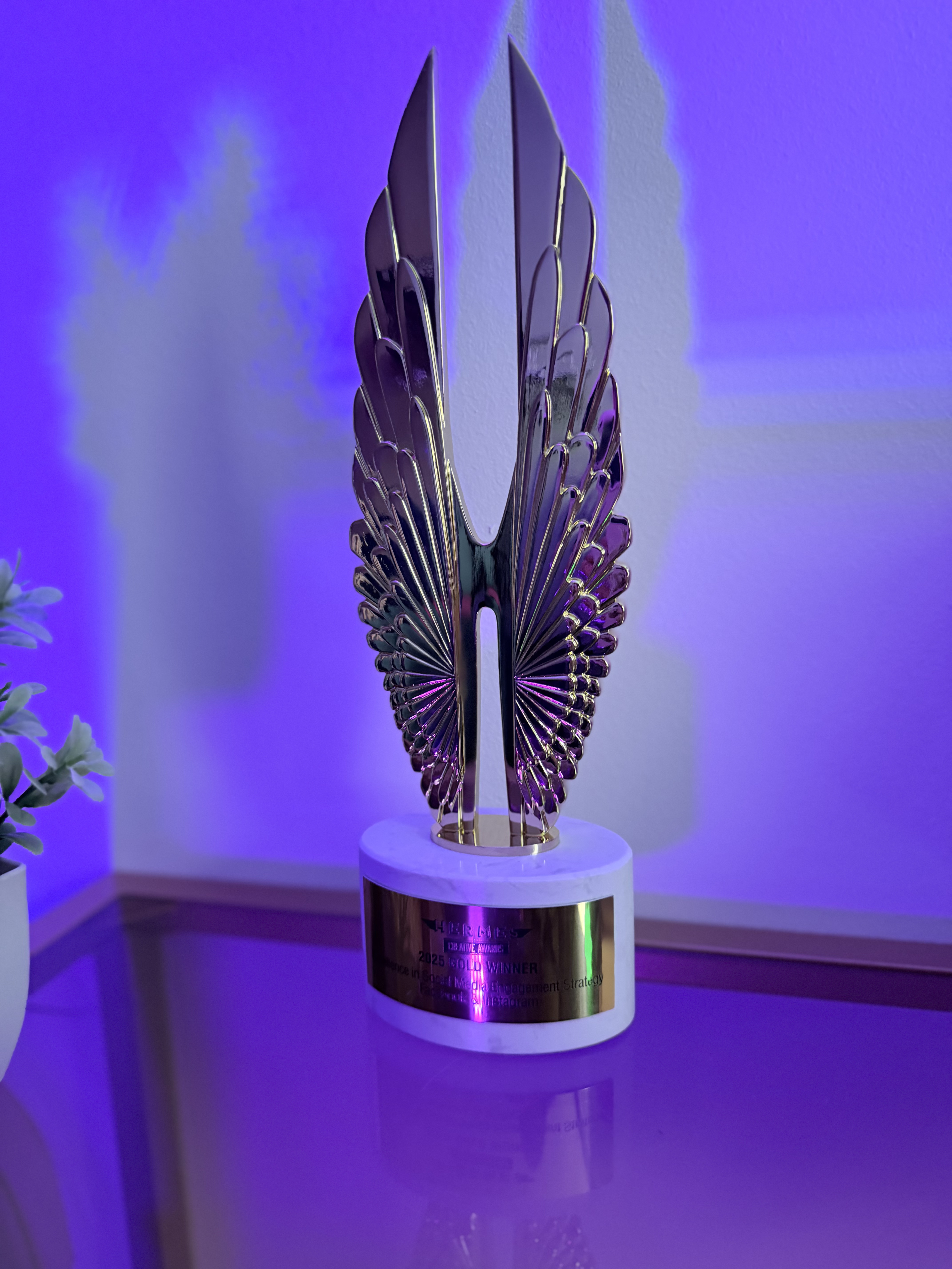 Hermes Creative Awards Gold trophy — Facebook