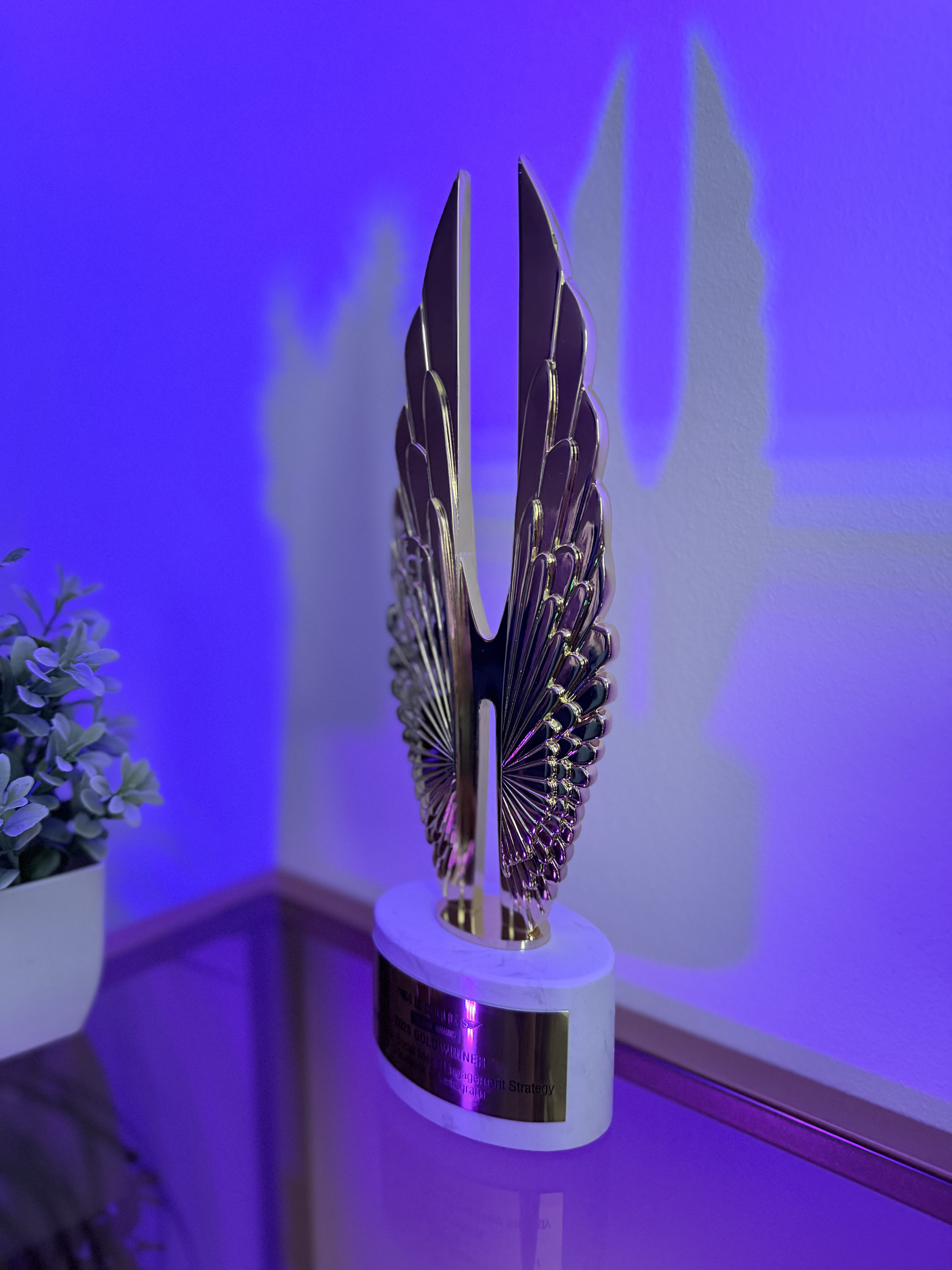 Hermes Creative Awards Gold trophy — Instagram