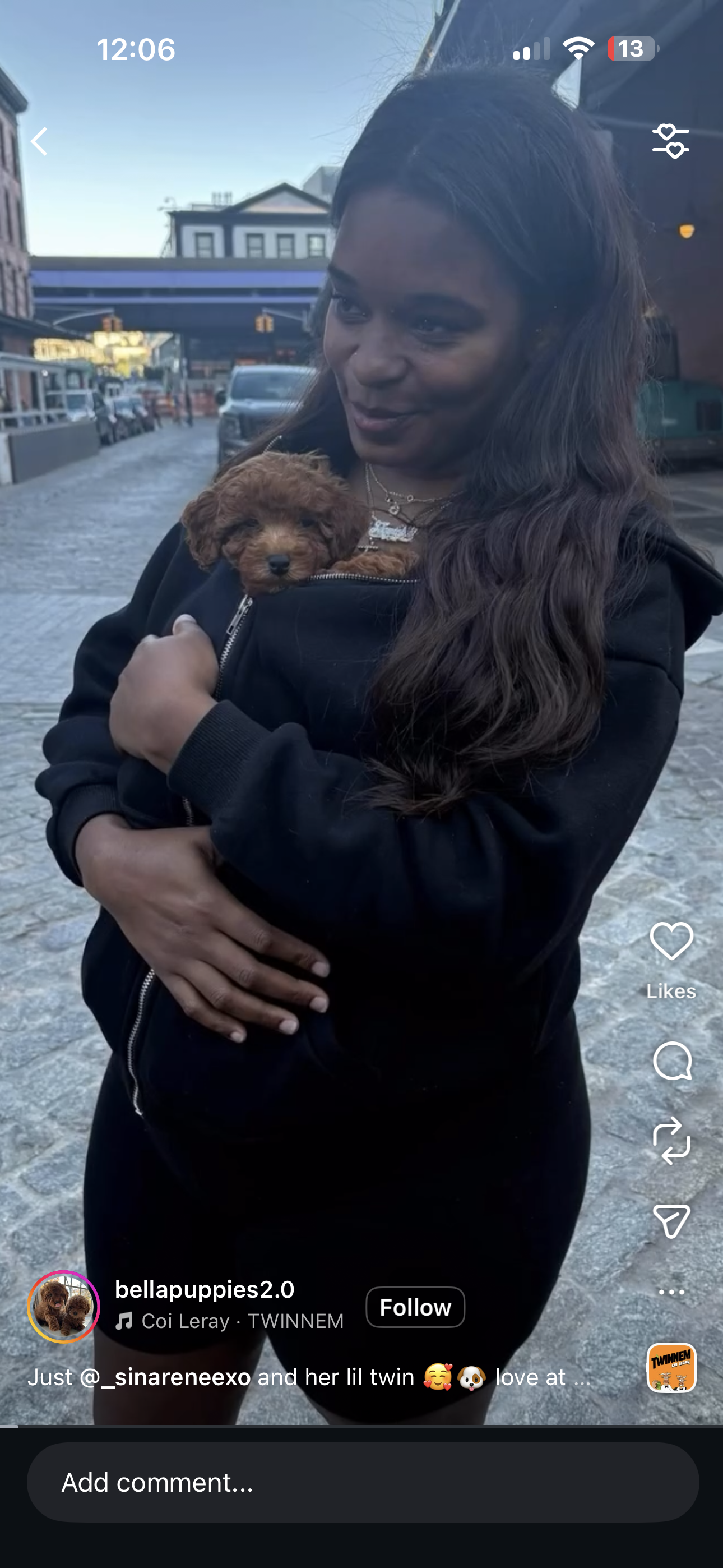 Puppy Therapy Bergen county, NJ