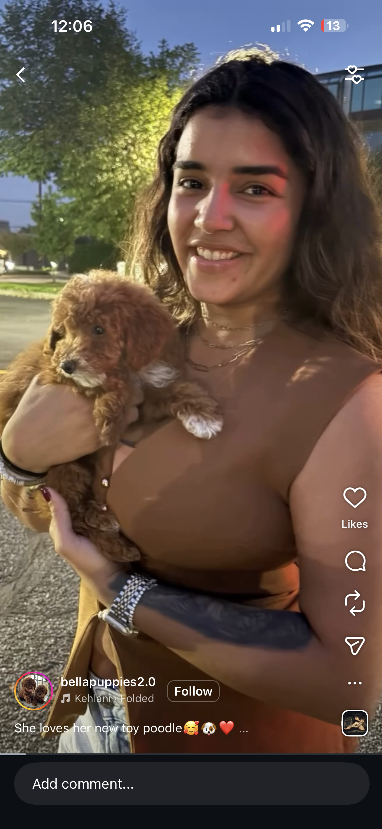 Tenafly, NJ Adopt a Puppy