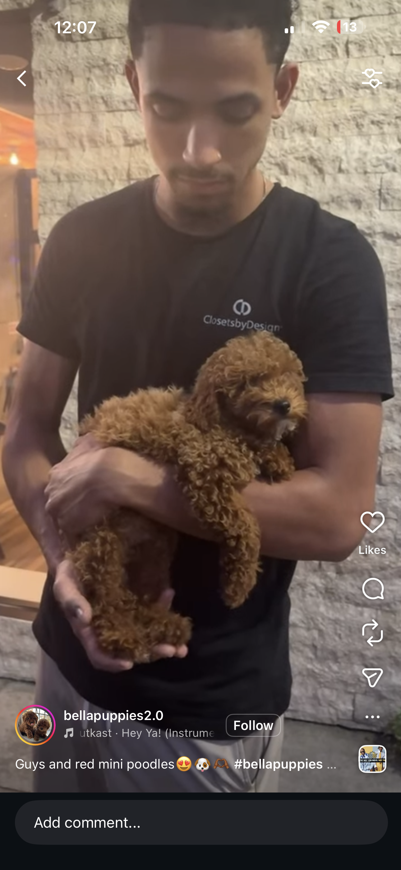 Puppy Sip and Paint Bergen county, NJ