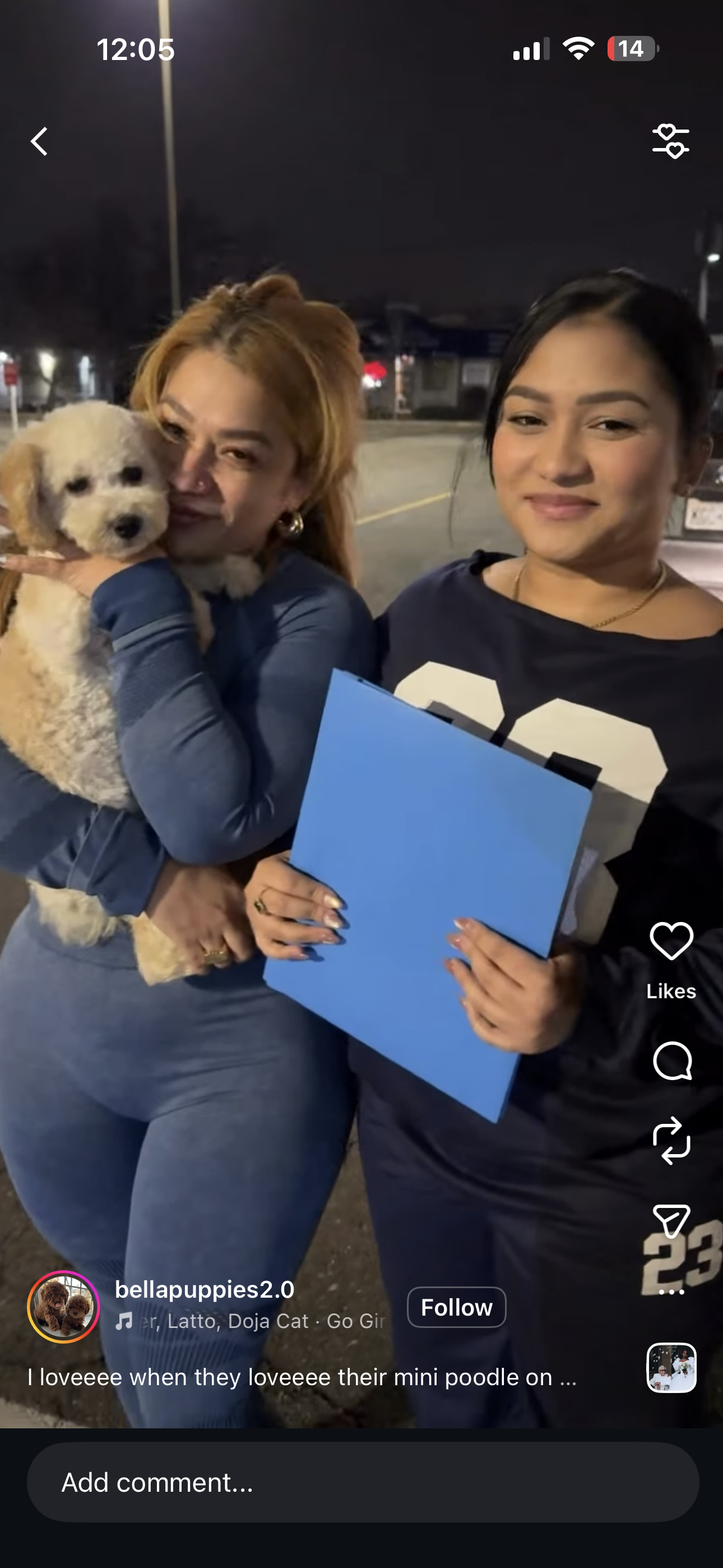 Puppy Events & Parties Bergen county, NJ