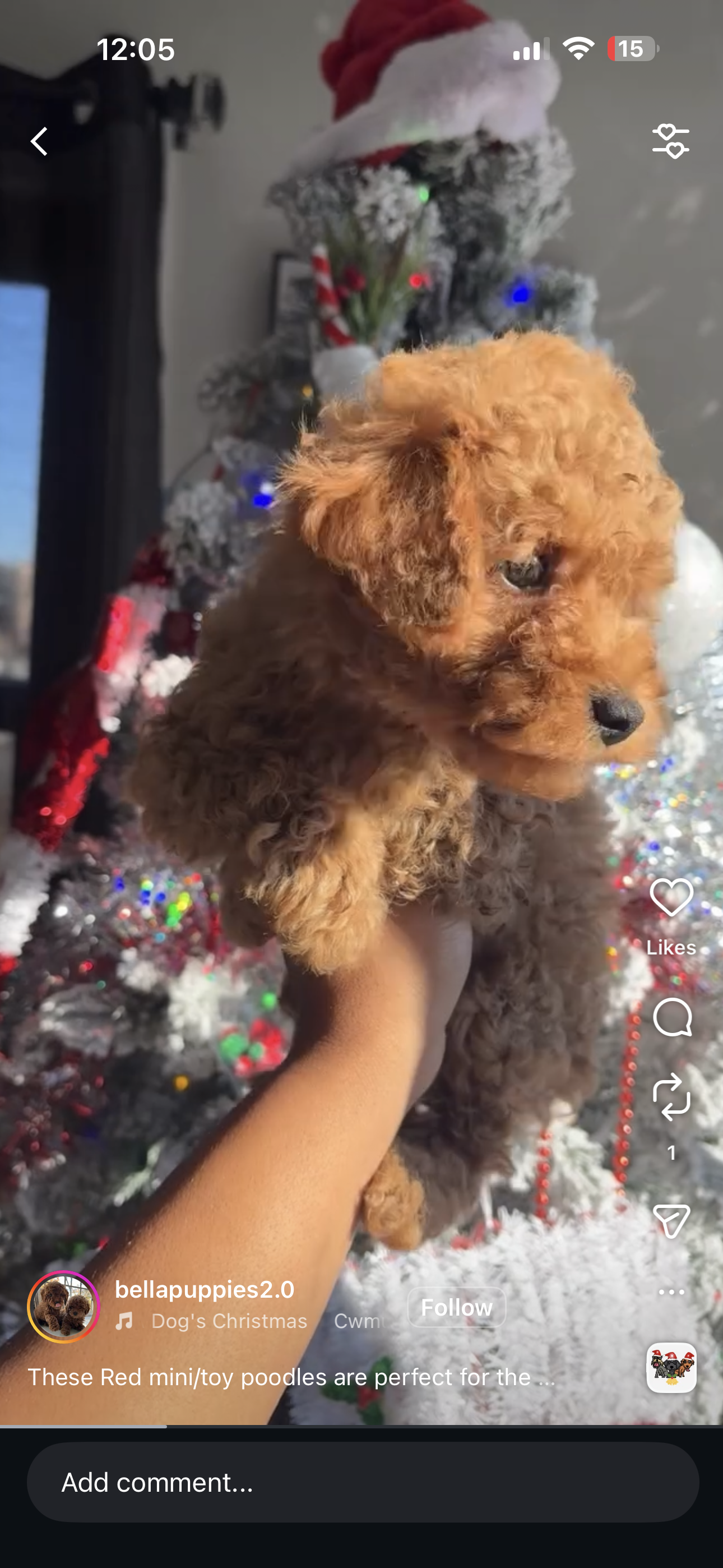 Teaneck, NJ Puppy Yoga