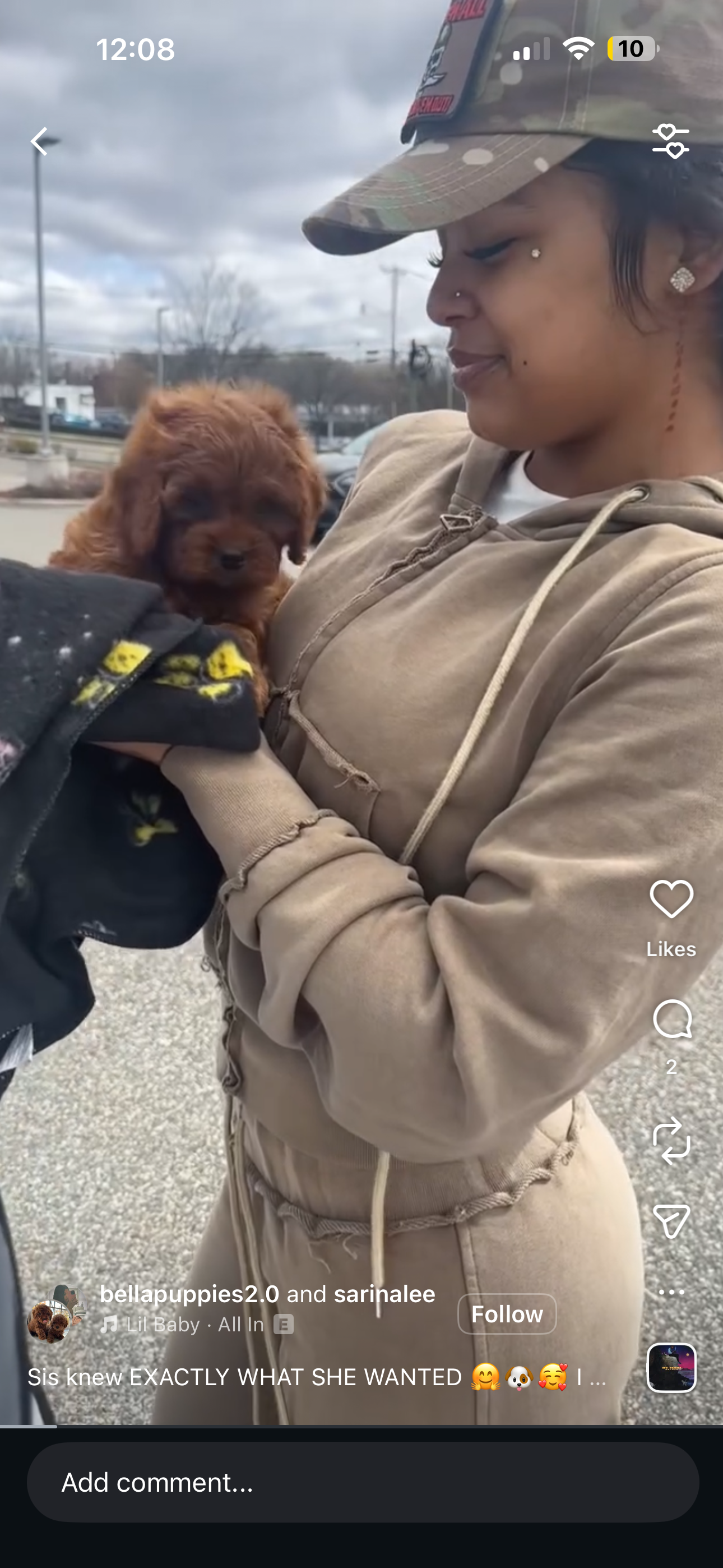 Adopt a Puppy Bergen county, NJ