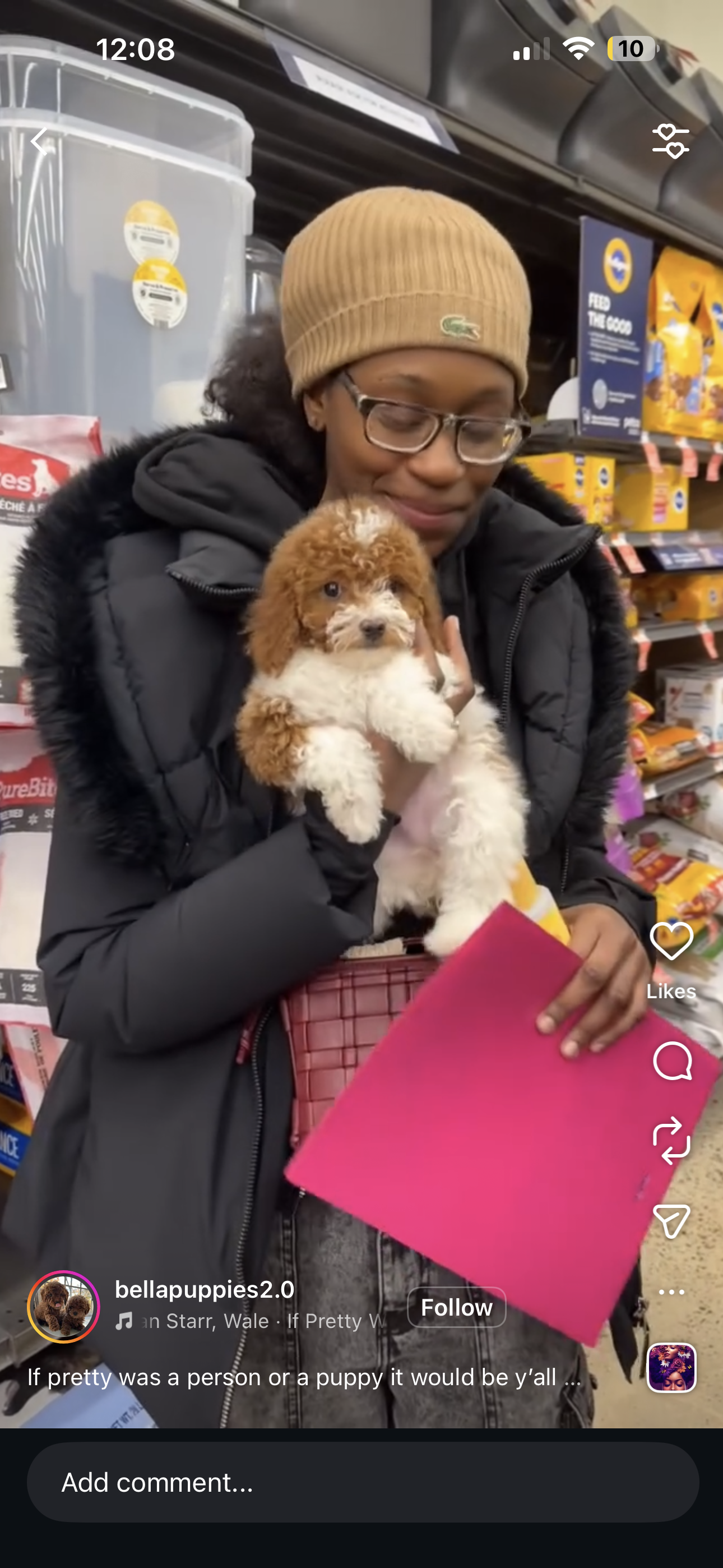 Puppy Sip and Paint Bergen county, NJ