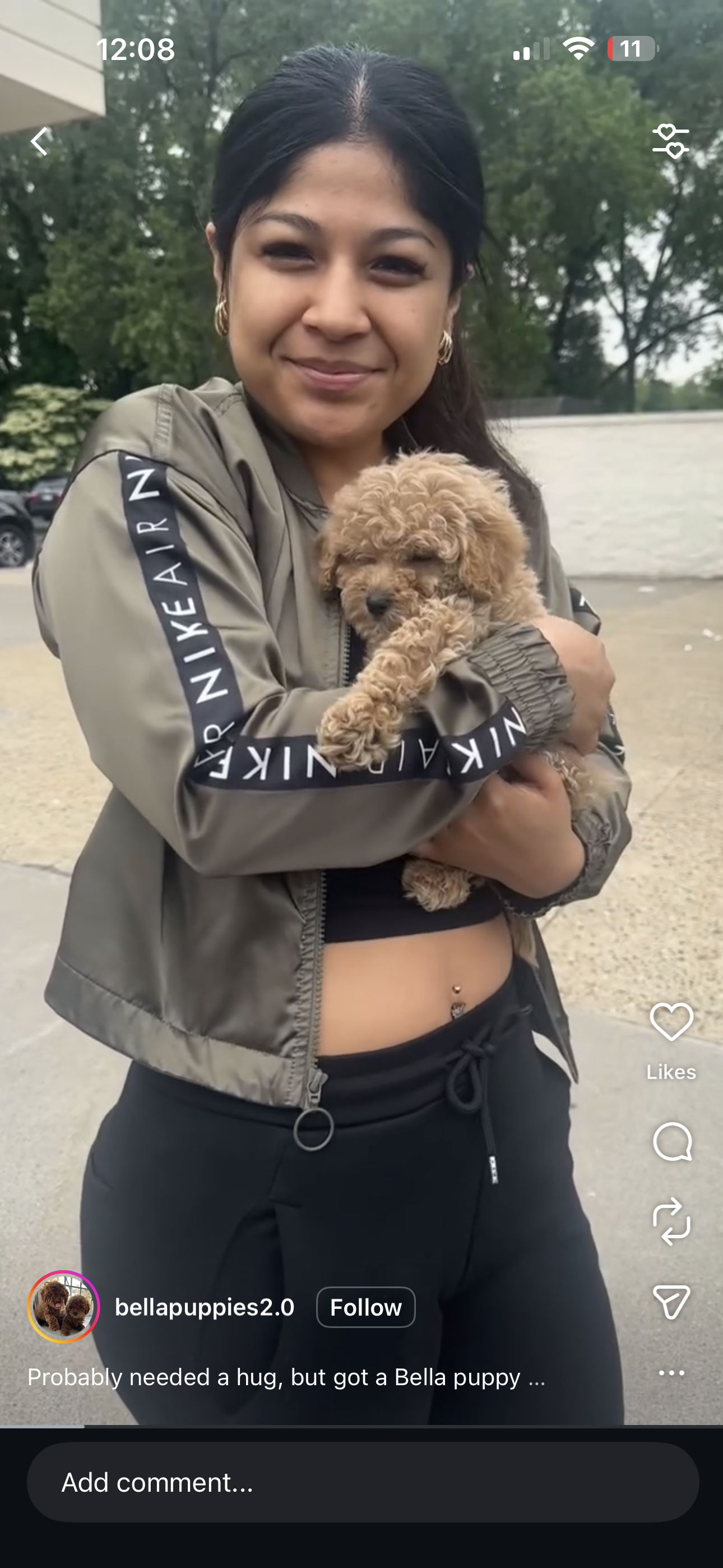 Englewood, NJ Adopt a Puppy