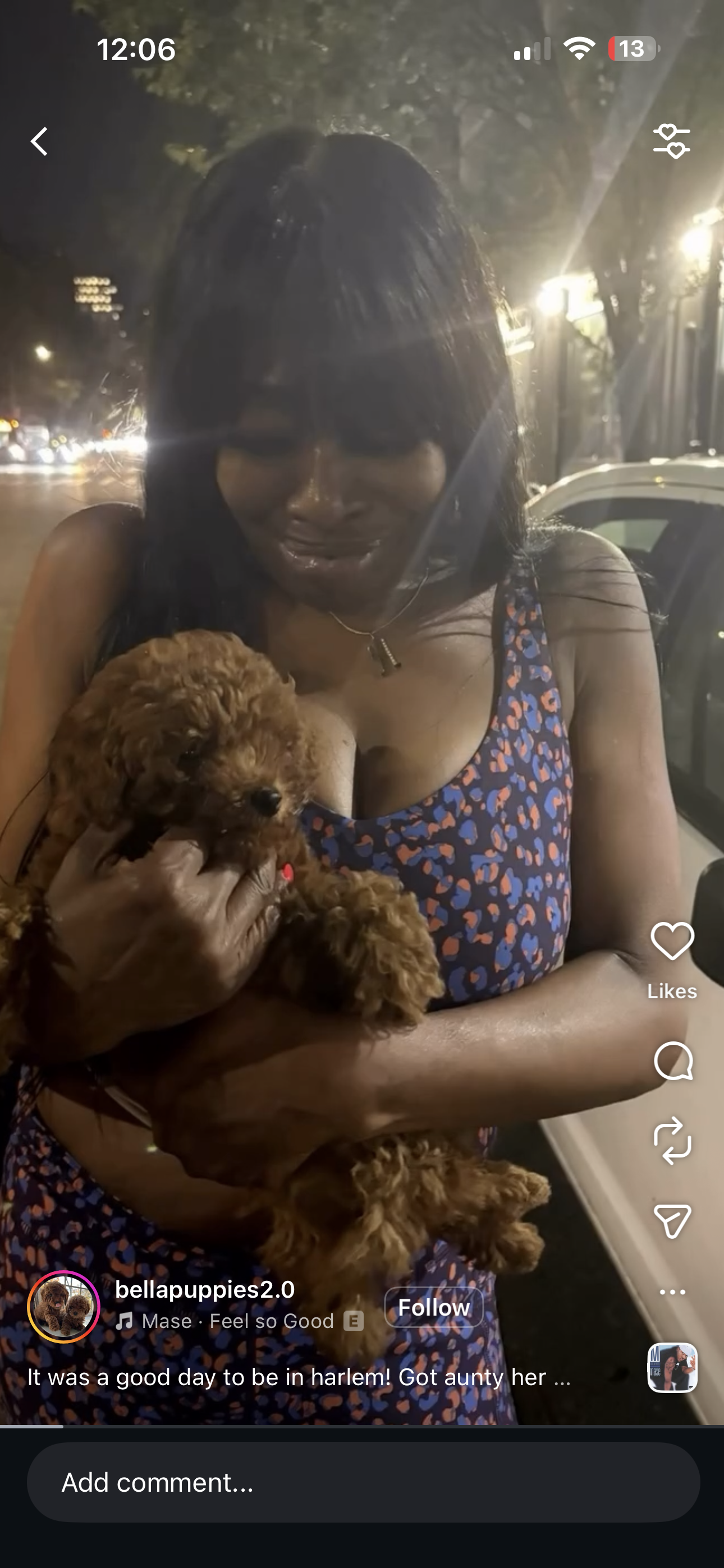  Puppy Events & Parties