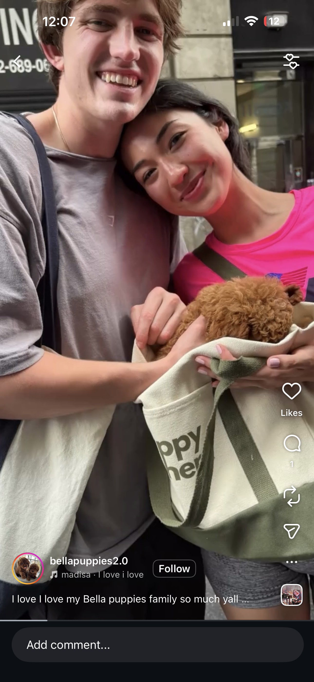 Puppy Events & Parties