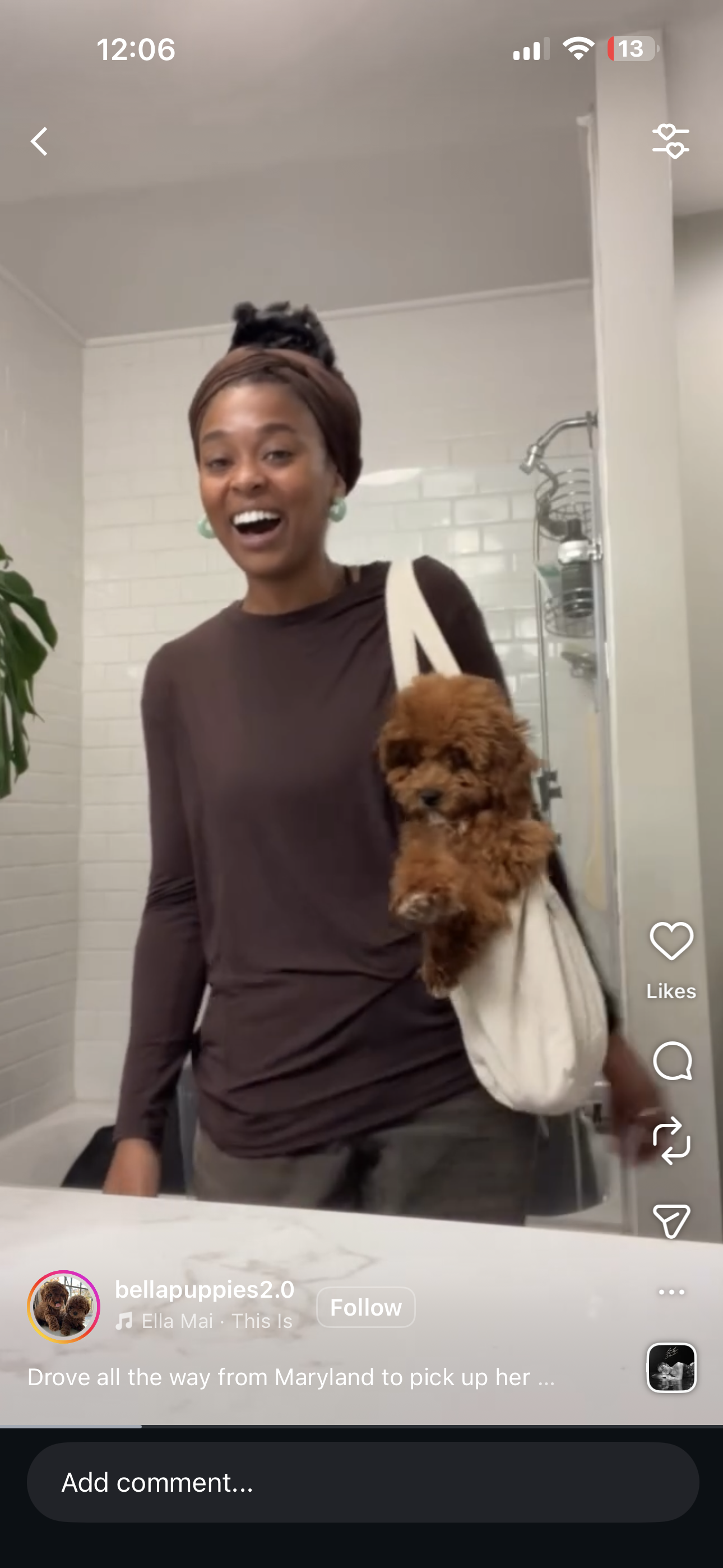 Puppy Events & Parties Bergen county, NJ