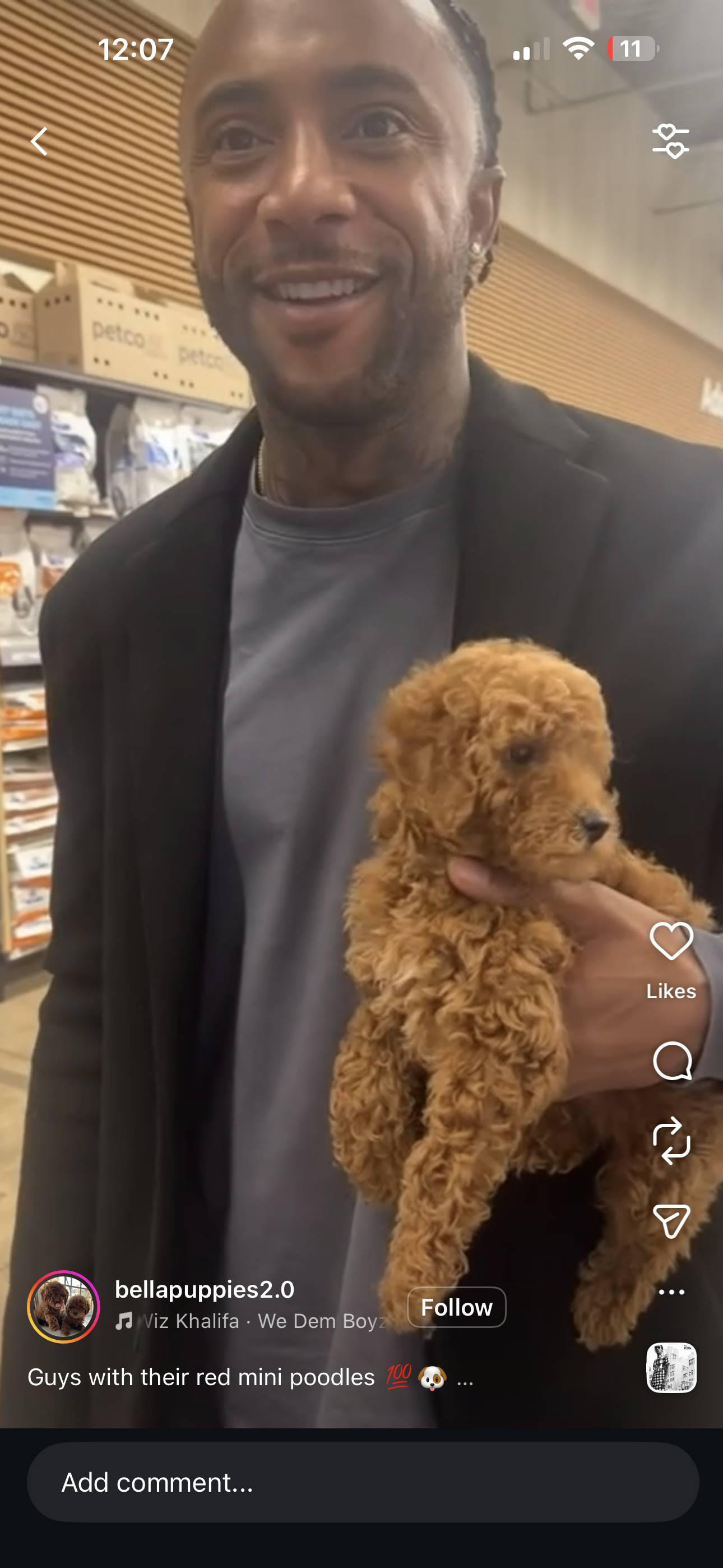 Puppy Events & Parties Bergen county, NJ