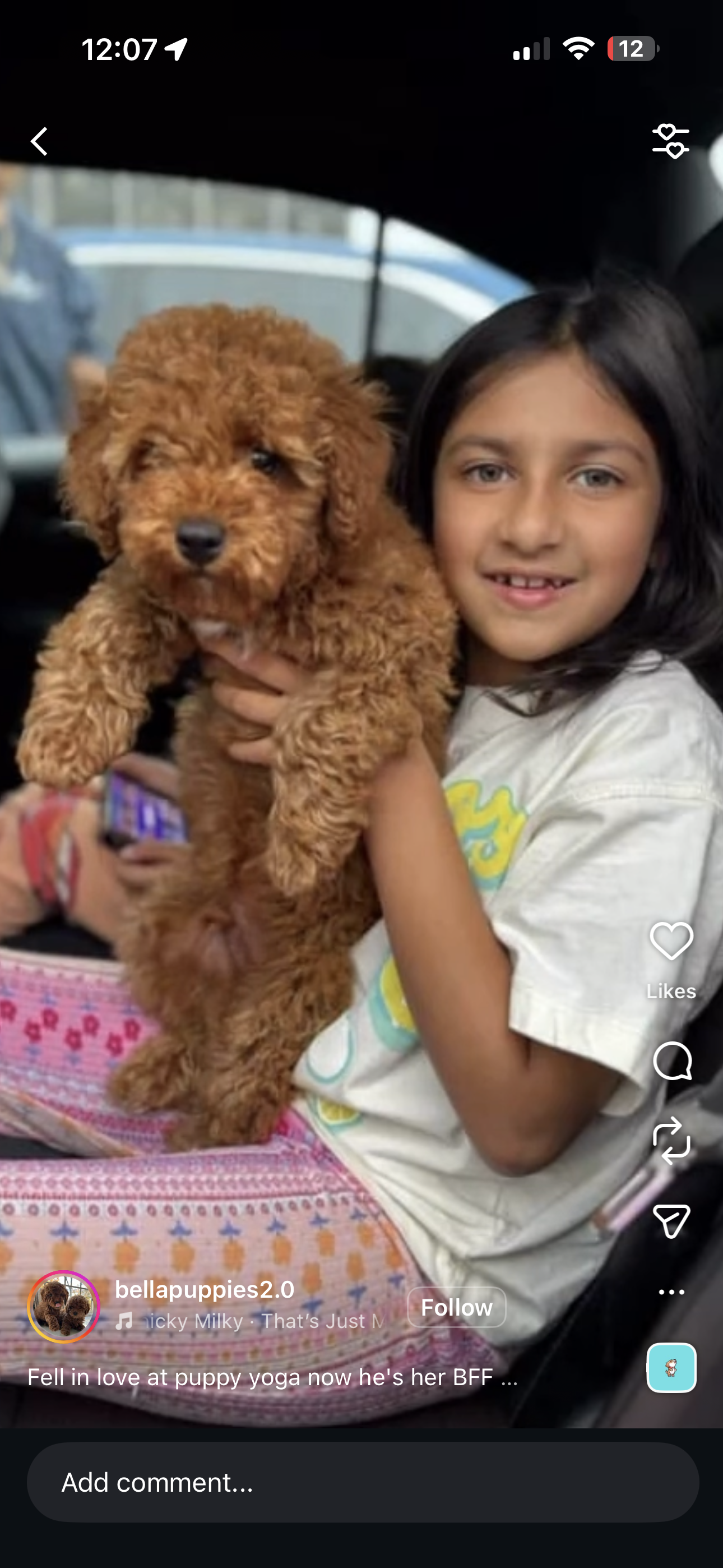 Englewood, NJ Puppy Yoga