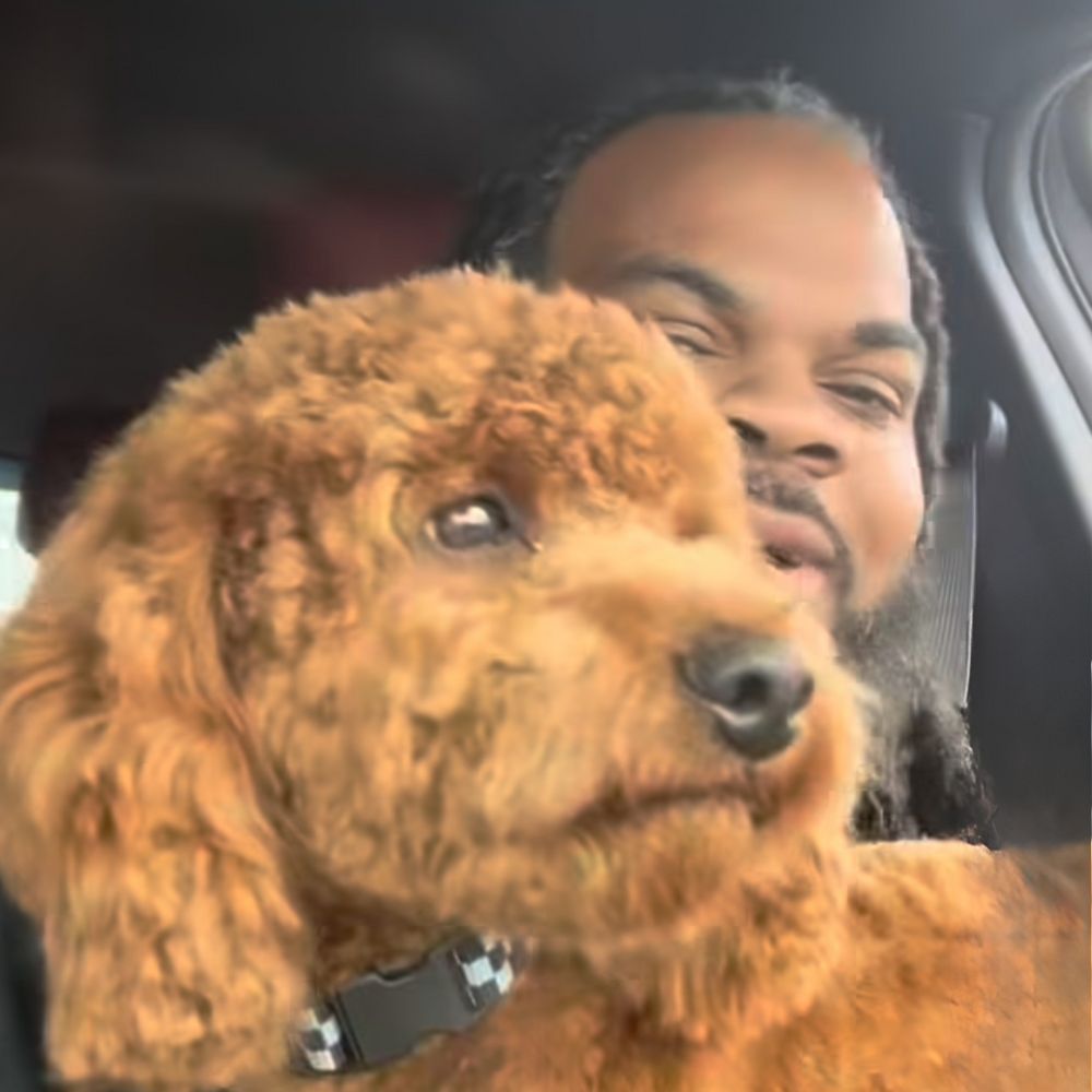  Puppy Events & Parties