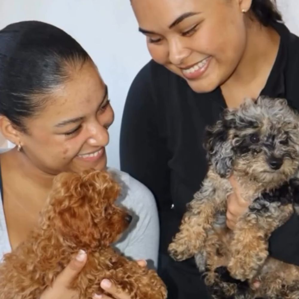 Puppy Events & Parties in Bergen county, NJ