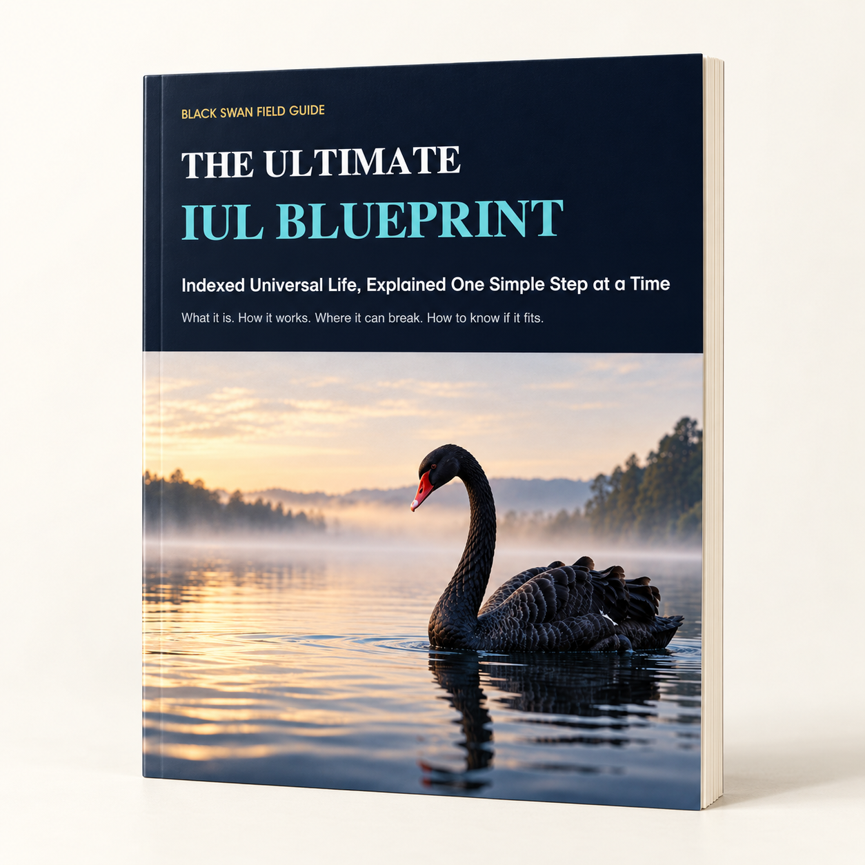 Black Swan Insurance Group