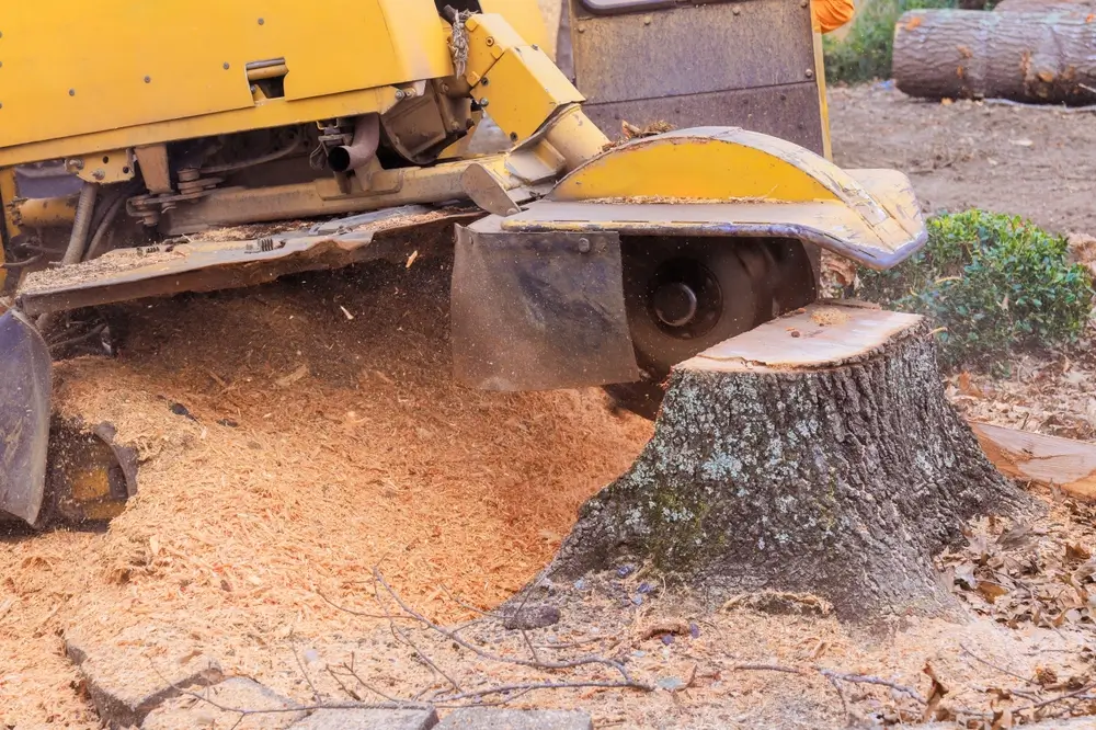 Landscaping Maintenance
