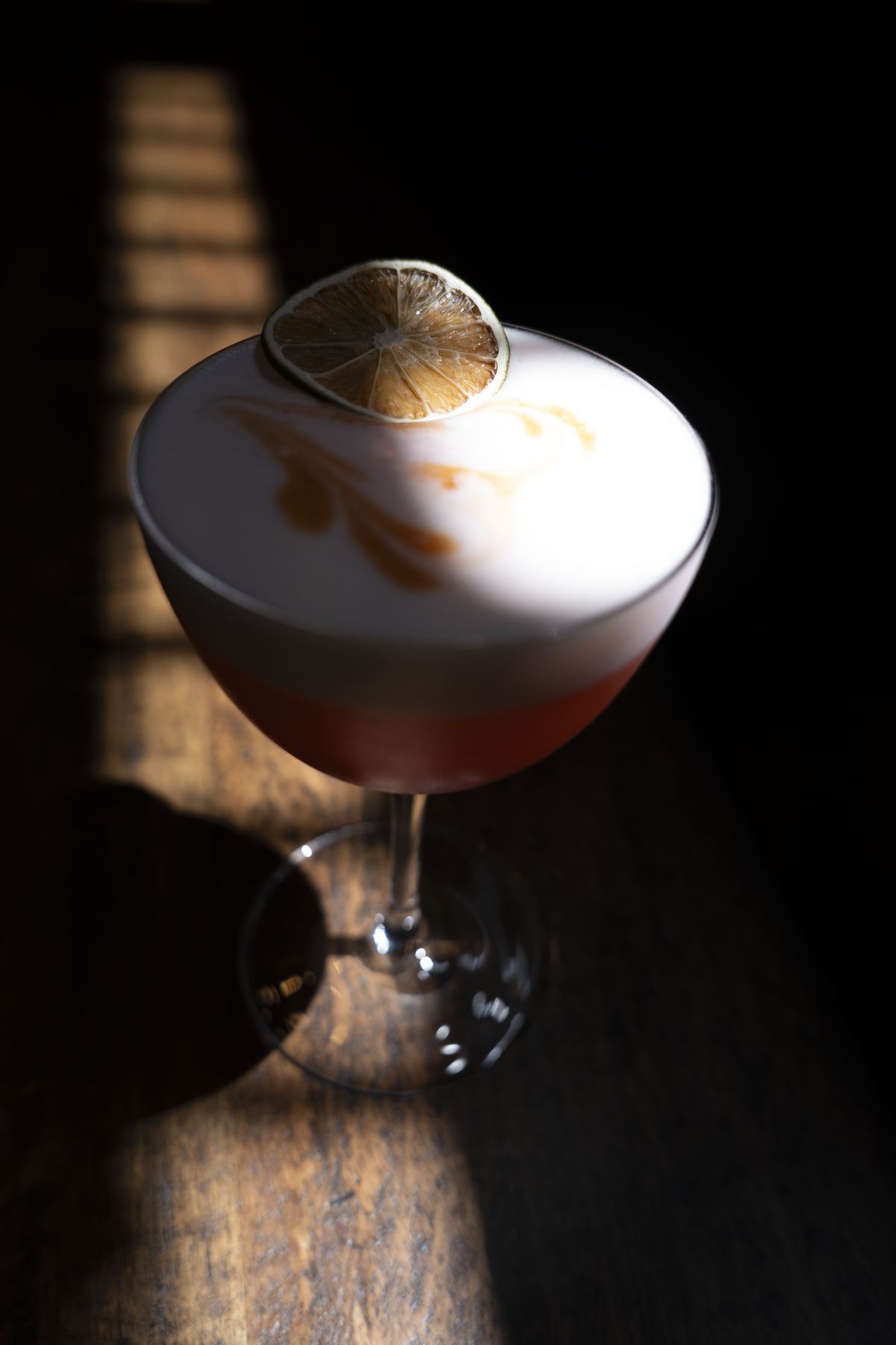 Craft cocktail with dehydrated citrus garnish